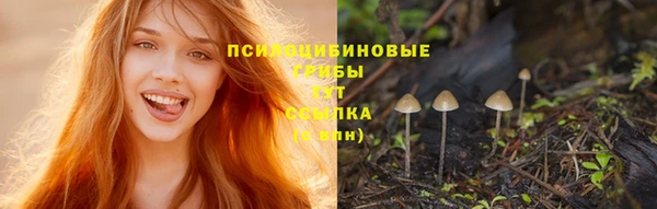 каннабис Верея