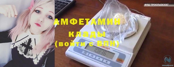 МДПВ Бронницы