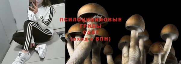 мефедрон мука Богданович