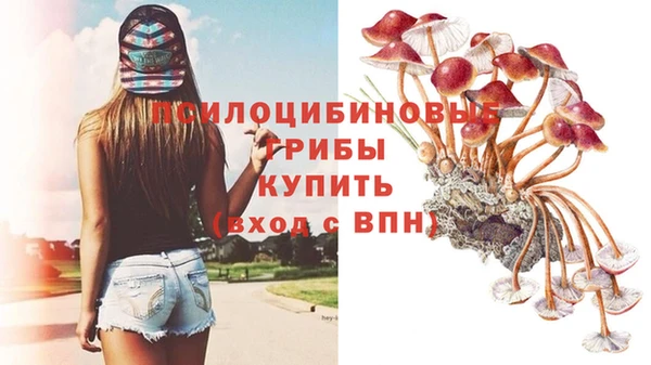 каннабис Верея