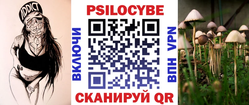 Галлюциногенные грибы Psilocybe  наркота  Долинск 